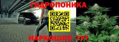 спиды Будённовск