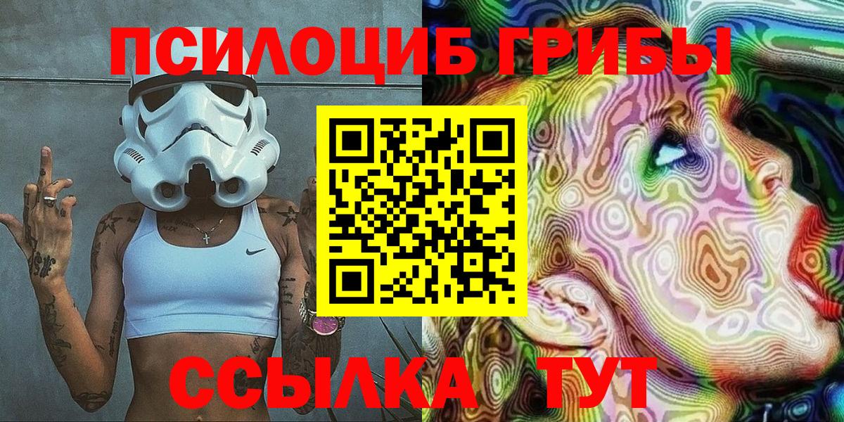 Псилоцибиновые грибы Psilocybine cubensis Саратов